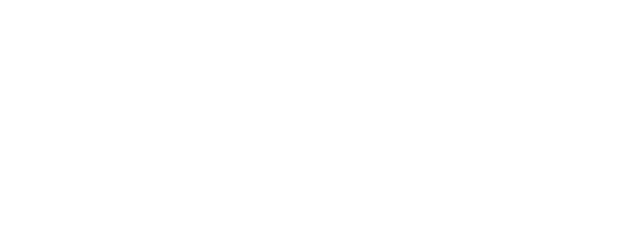 AL SHIFA SAS HOPITAL